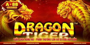 Luật Chơi Rồng Hổ - Phần Thưởng Lớn Và Ưu Đãi Hấp Dẫn